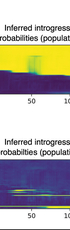 IntroUNET: Identifying introgressed alleles via semantic segmentation